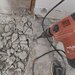 Debarasari rapide & Mutari fara stres!  Suna si rezolvam!